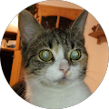 Profilbild von „M. Kie“